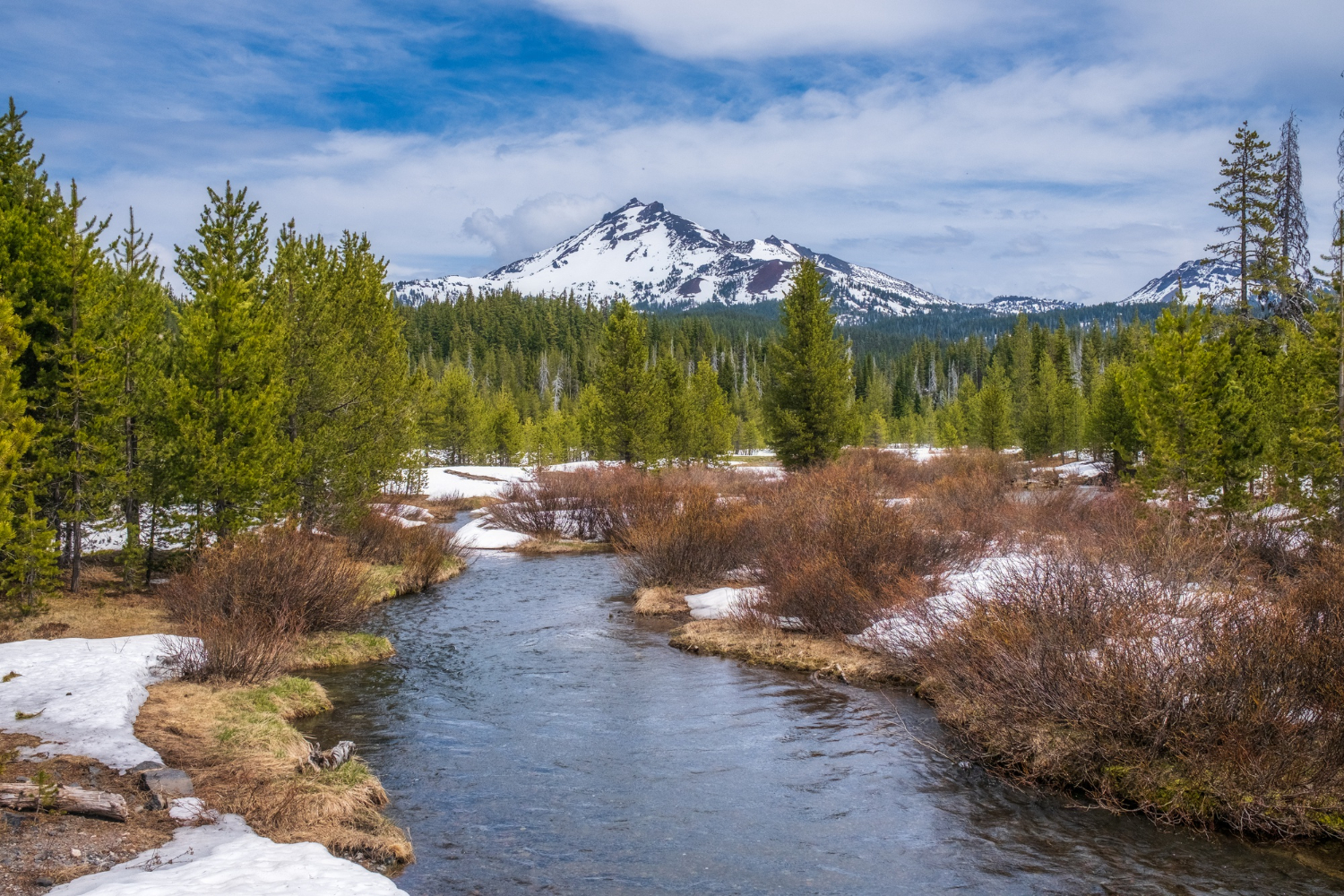 polson montana
