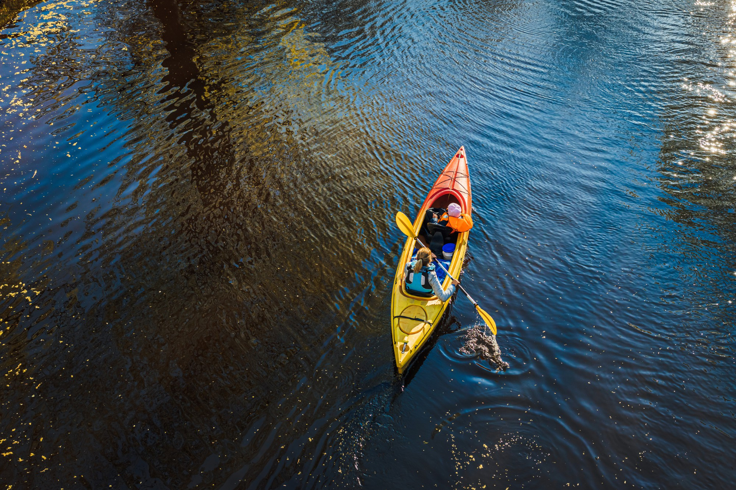 flathead river rafting
